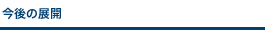 今後の展開
