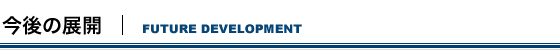 今後の展開